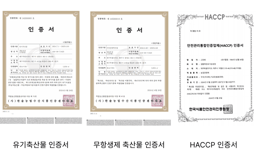 믿을 수 있는 인증